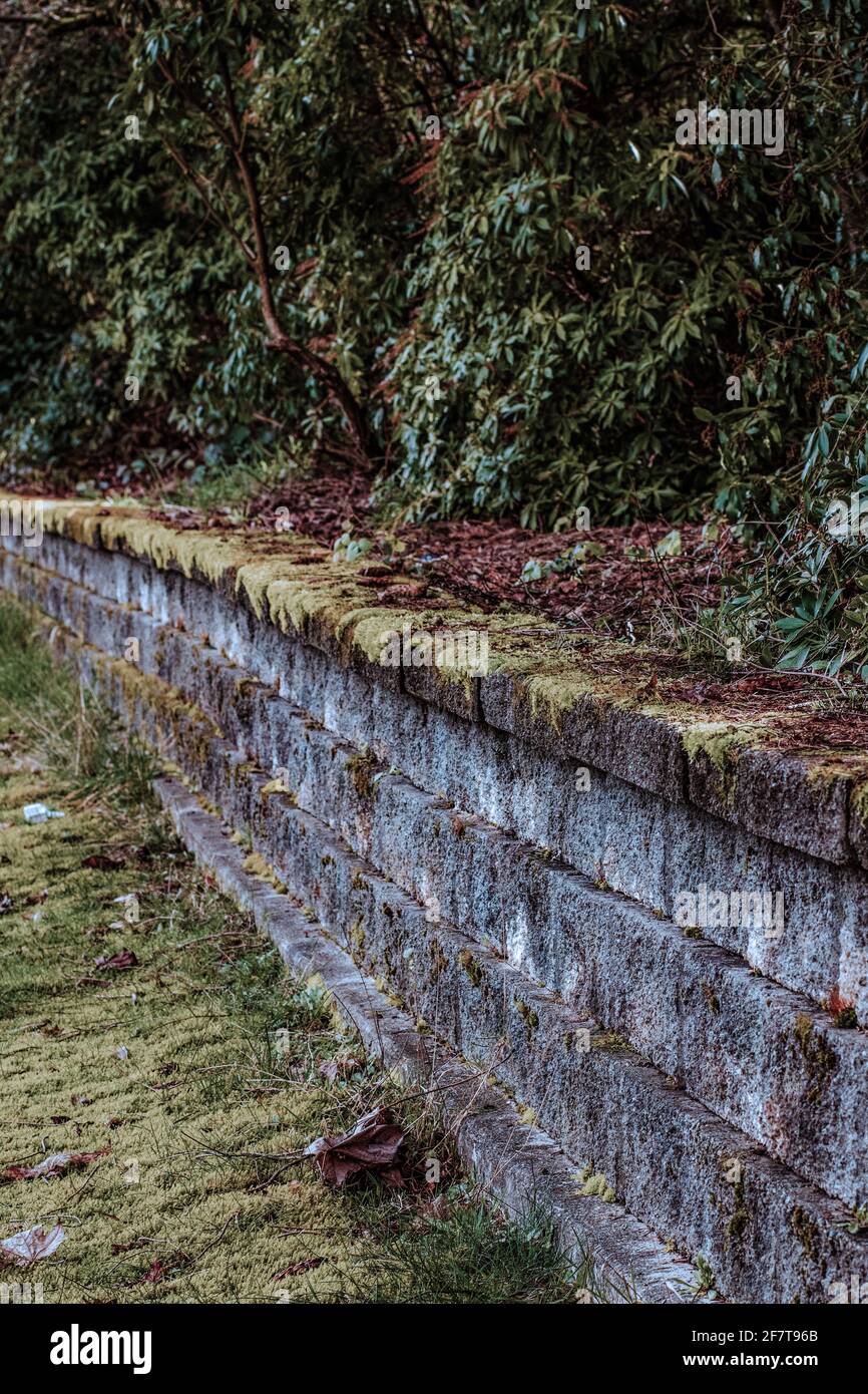 Moosbedeckte Mauer im Park Stockfoto