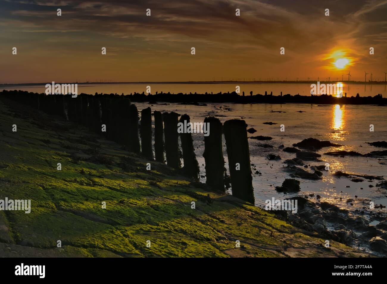 Sonnenuntergang auf der Bohrinsel - Dyksterhusen - Ostfriesland - Niederösterreich Sachsen - grünes Moos im Vordergrund Stockfoto