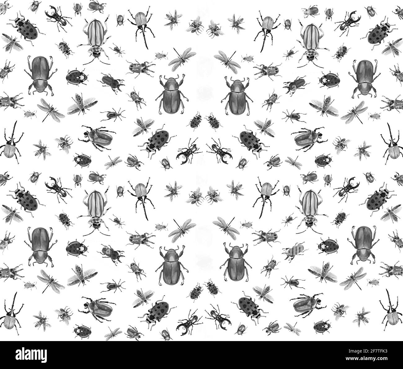 Insekten- und Insektenmuster für Karten Stoffe Planet Stockfotografie -  Alamy