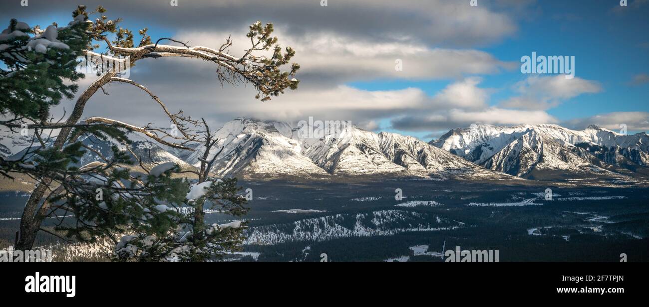 Atemberaubende Landschaft in Banff felsige Berge im Winter Stockfoto