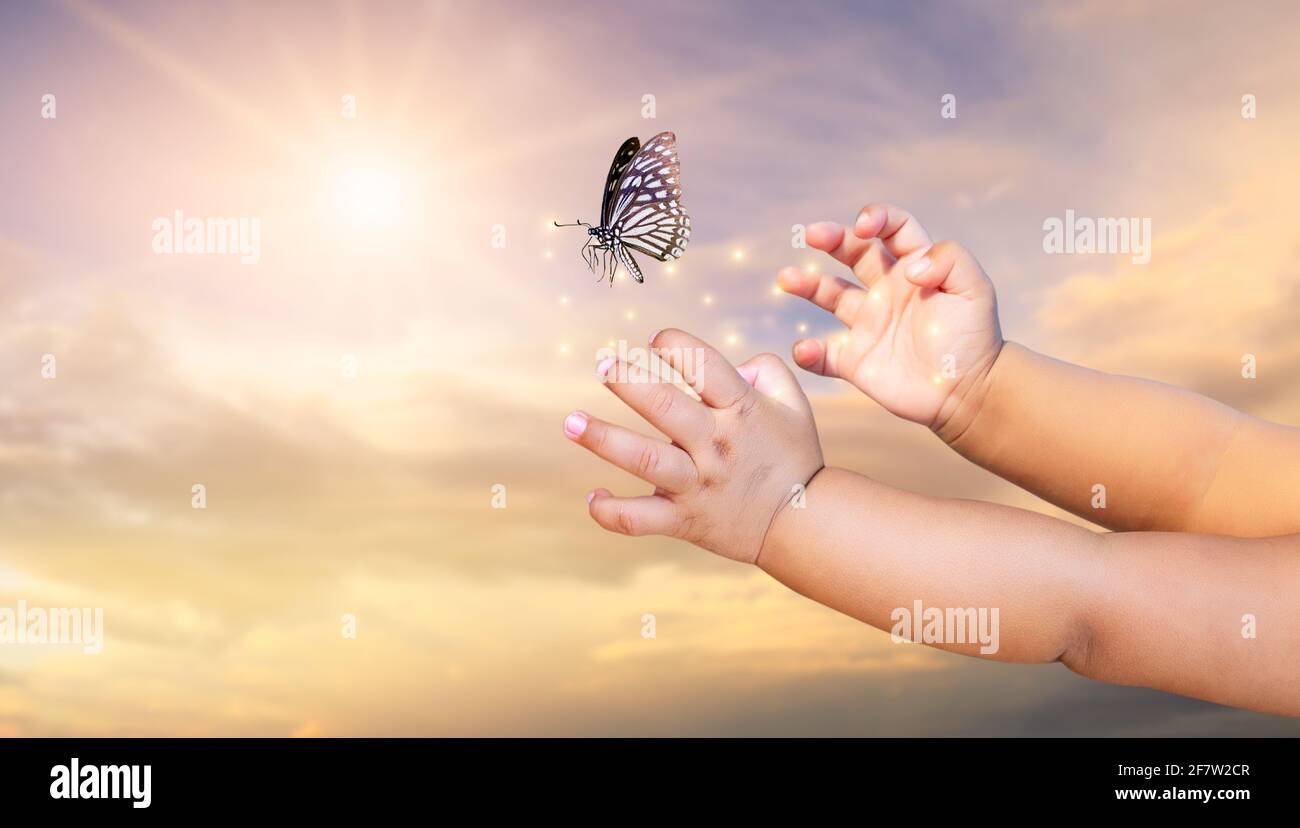 Das kleine Kind befreit den Schmetterling von der Vorstellung des Moments Freiheit Stockfoto