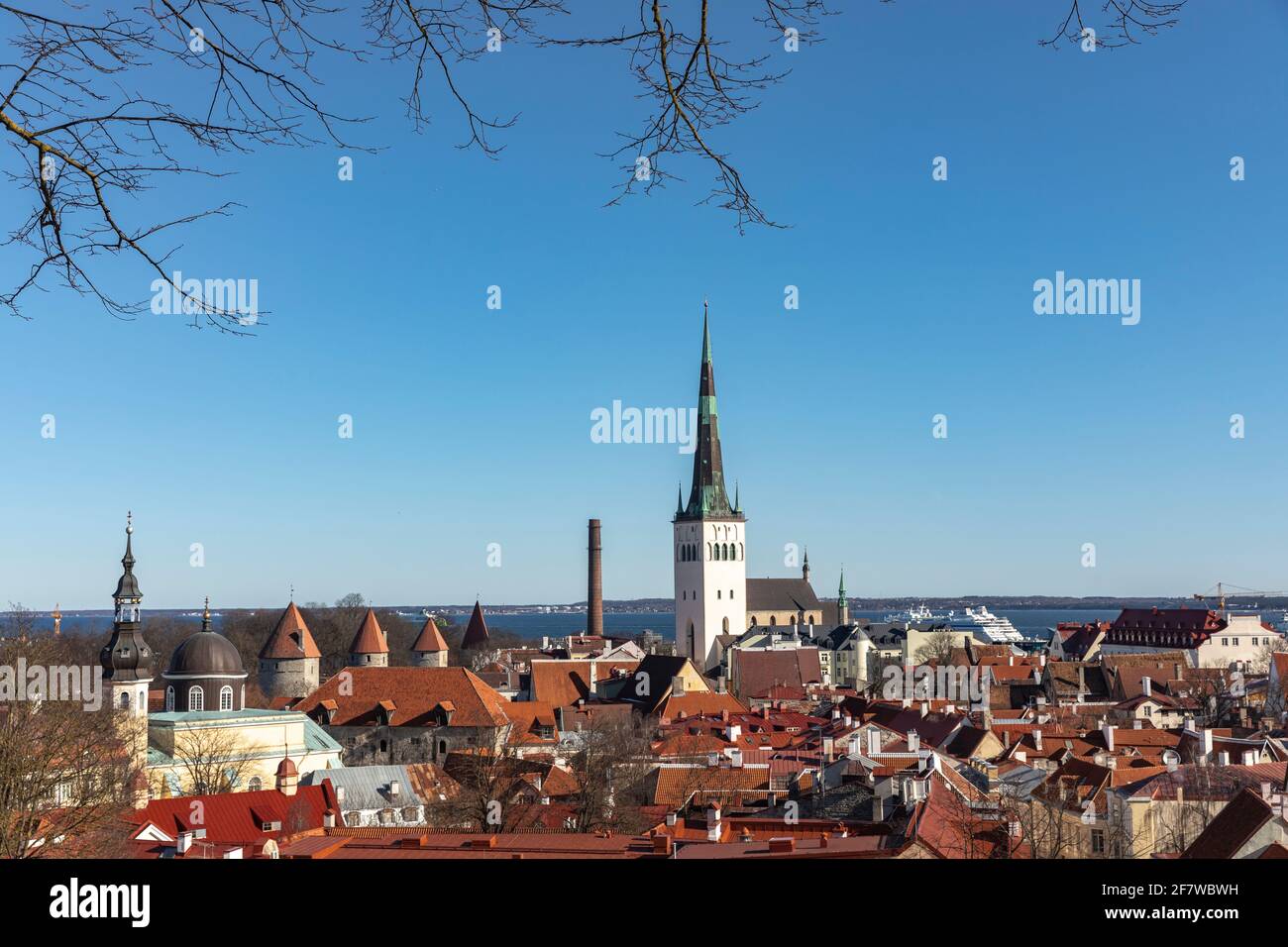 birdsblick auf die Altstadt von Tallinn und ihre roten Dächer Stockfoto