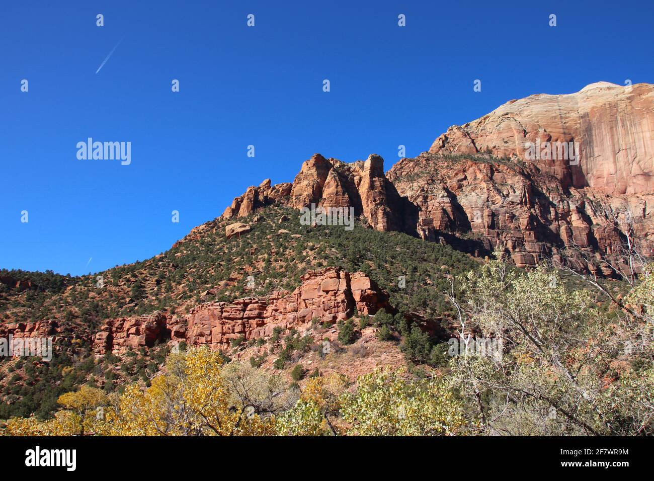 Landschaftlich reizvolle Landschaft mit rötlichen und braunen Felsen im Zion National Park, USA Stockfoto