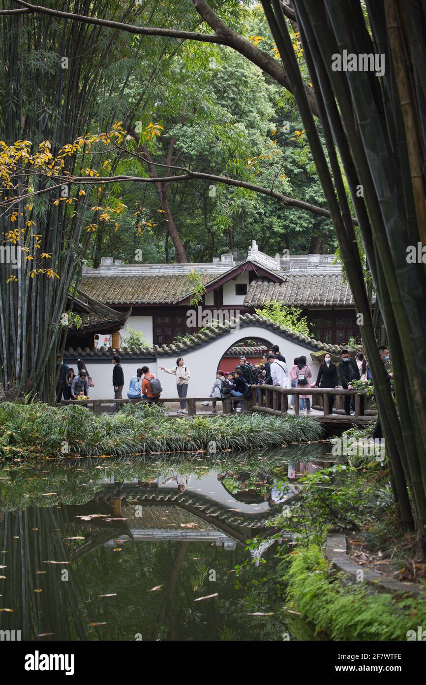 Bambus und Gärten in Du Fu's strohgedeckten Häuschen, Chengdu, China Stockfoto