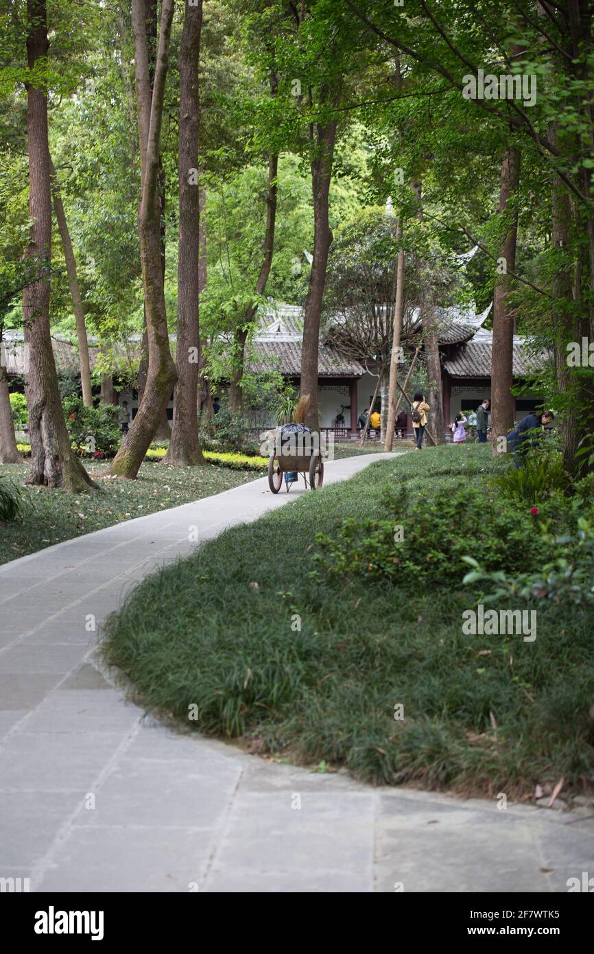 Bambus und Gärten in Du Fu's strohgedeckten Häuschen, Chengdu, China Stockfoto
