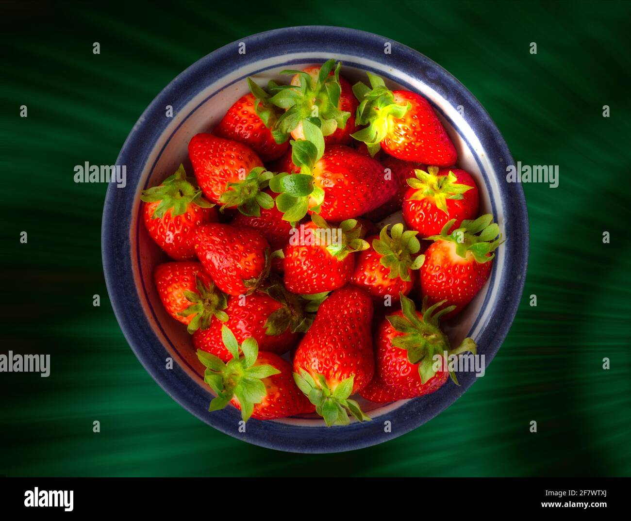 ERNÄHRUNGSKONZEPT: Frische Erdbeeren in blau umrandter Keramik Stockfoto