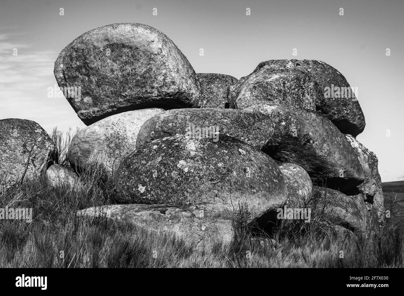 'Verrückte Frühlingsaugen' : las múltiples miradas que puede ofrecer una primavera lluviosa desde el angulo del valle o la Montaña Stockfoto