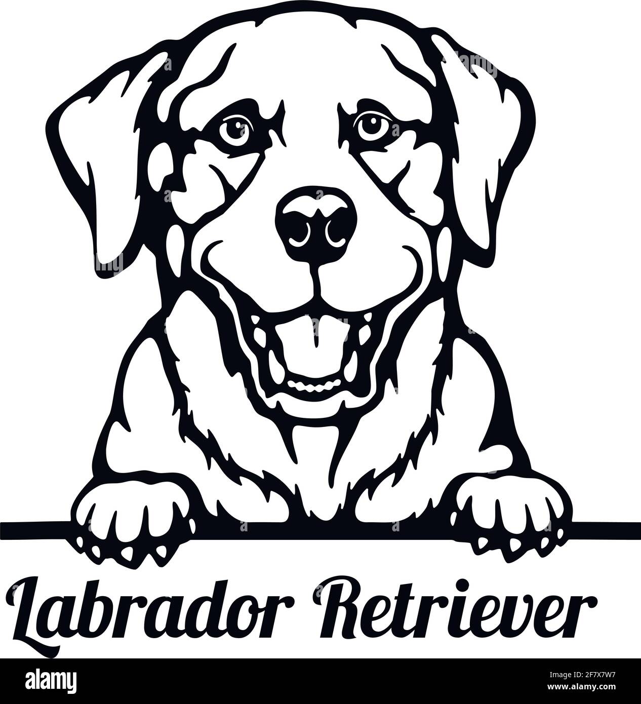 Labrador Retriever Peeking Dog - Kopf isoliert auf weiß Stock Vektor