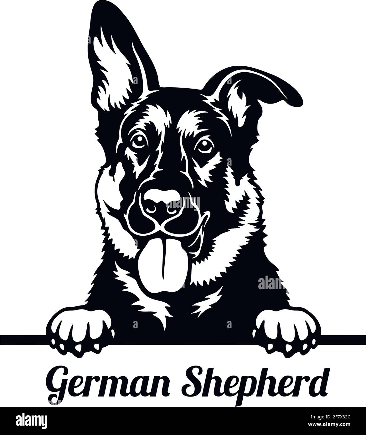 Schäferhund Peeking Dog - Kopf isoliert auf weiß Stock Vektor