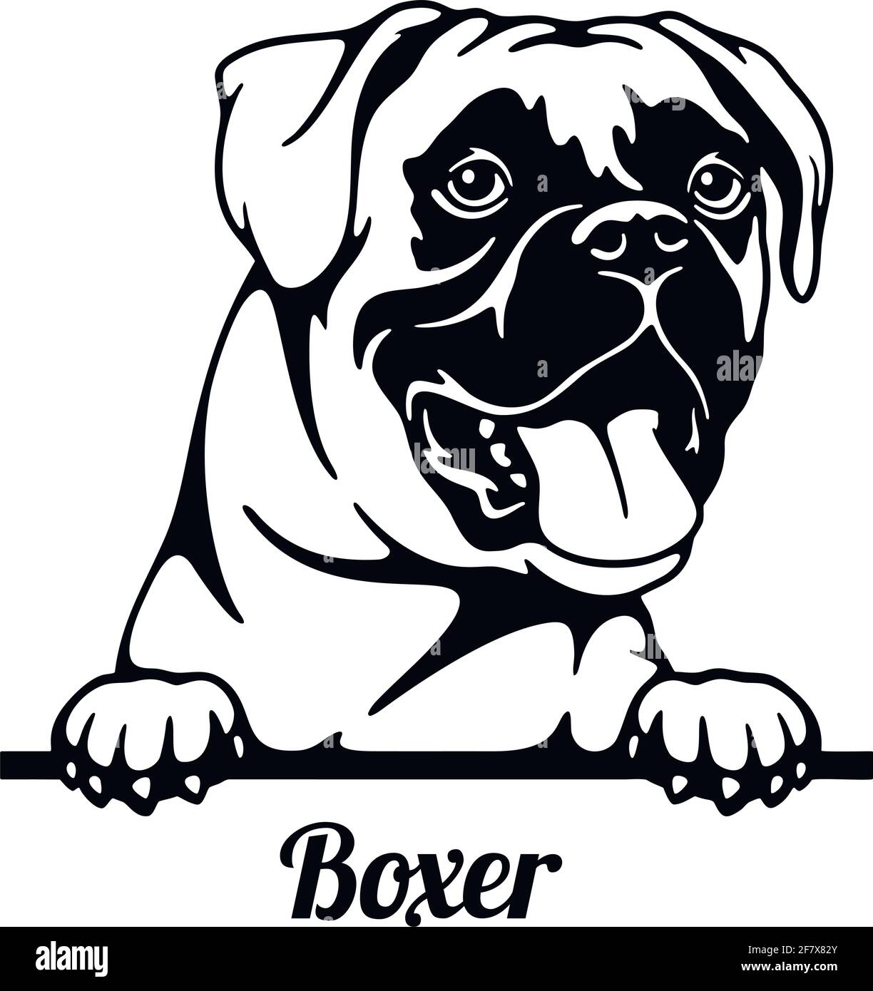 Boxer Peeking Dog - Kopf isoliert auf weiß Stock Vektor