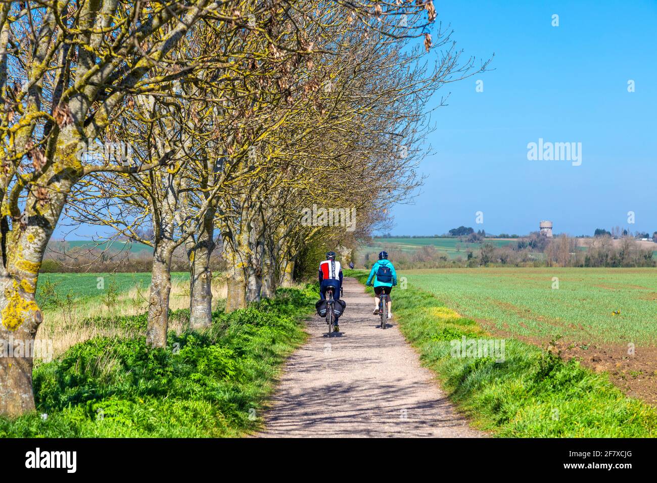 Zwei Radfahrer auf einem Weg zwischen Feldern auf dem Land zwischen Stotfold und Henlow, Bedfordshire, Großbritannien Stockfoto