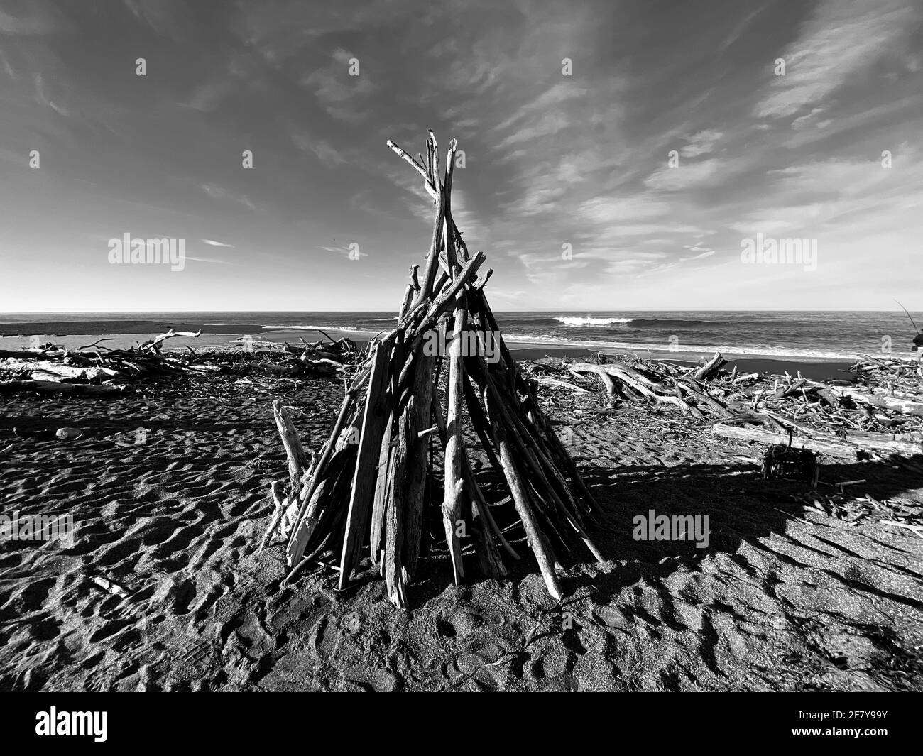Drift Wood Art Installation on the Beach in, Cambria California Abstract, California Central Coast. Foto von Jennifer Graylock-Graylock.com Stockfoto