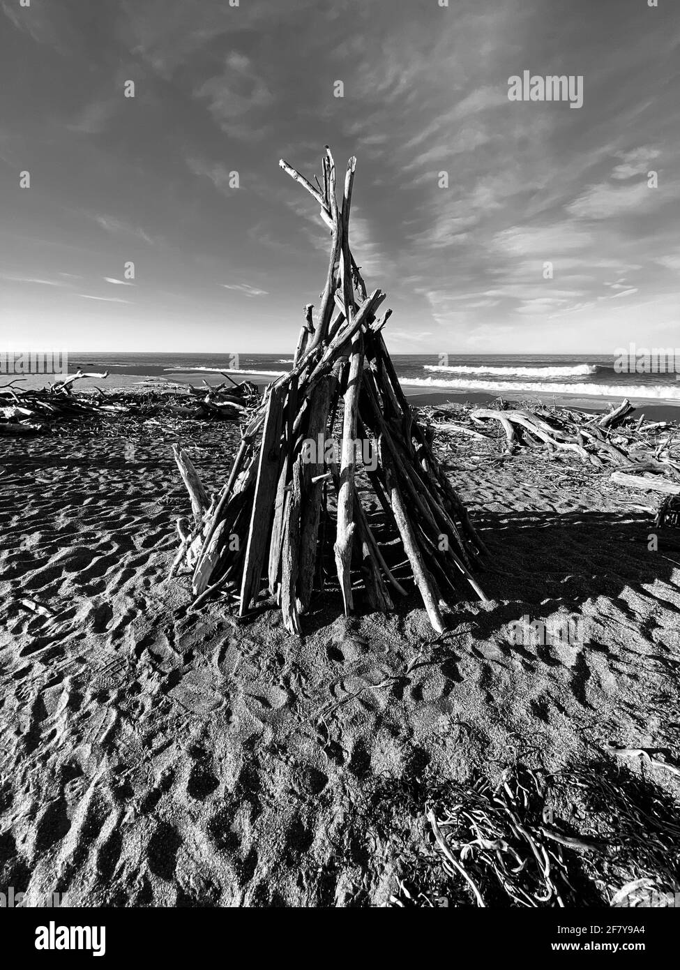 Drift Wood Art Installation on the Beach in, Cambria California Abstract, California Central Coast. Foto von Jennifer Graylock-Graylock.com Stockfoto