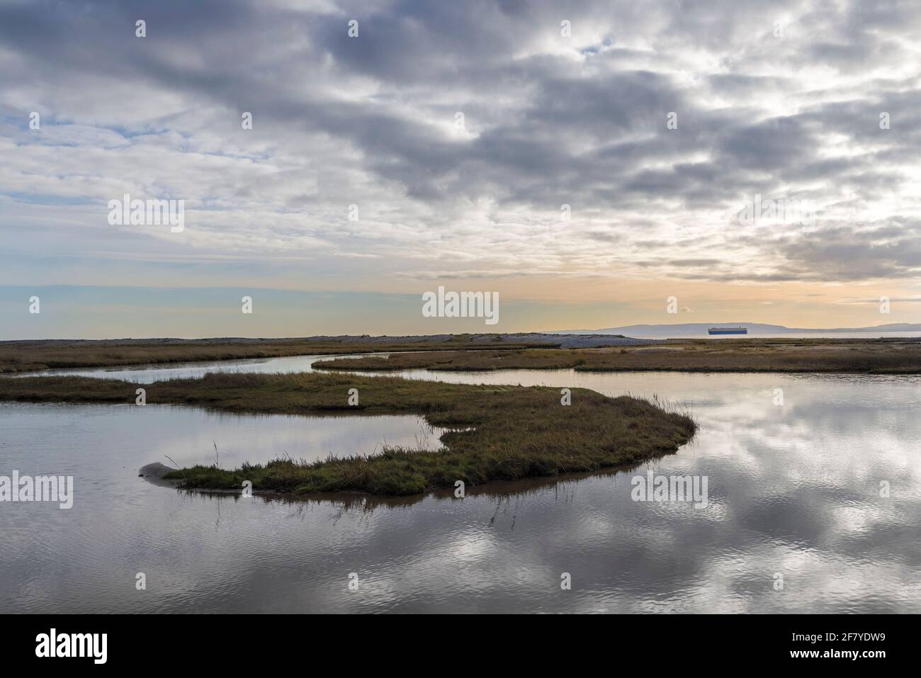 Saltmarsh Pool und Containerschiff in Aberthaw, Wales, Großbritannien Stockfoto