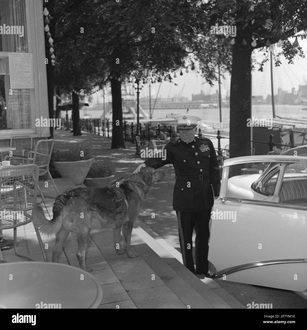 Ein britischer Marine (Leutnant?) Durch den britischen General Sir John C. Westall (1901-1986), Kommandant der Royal Marines, die die E55-Ausstellung in Rotterdam besuchen, erreicht er einen Hund. Die E55 war eine Ausstellung (Mai - AUGUST 1955), um der Welt zu zeigen, wie der Wiederaufbau unseres Landes in die Hand genommen wurde und wie weit wir in dieser Zeit waren. Die KM waren auch auf der E55 zu sehen. Stockfoto