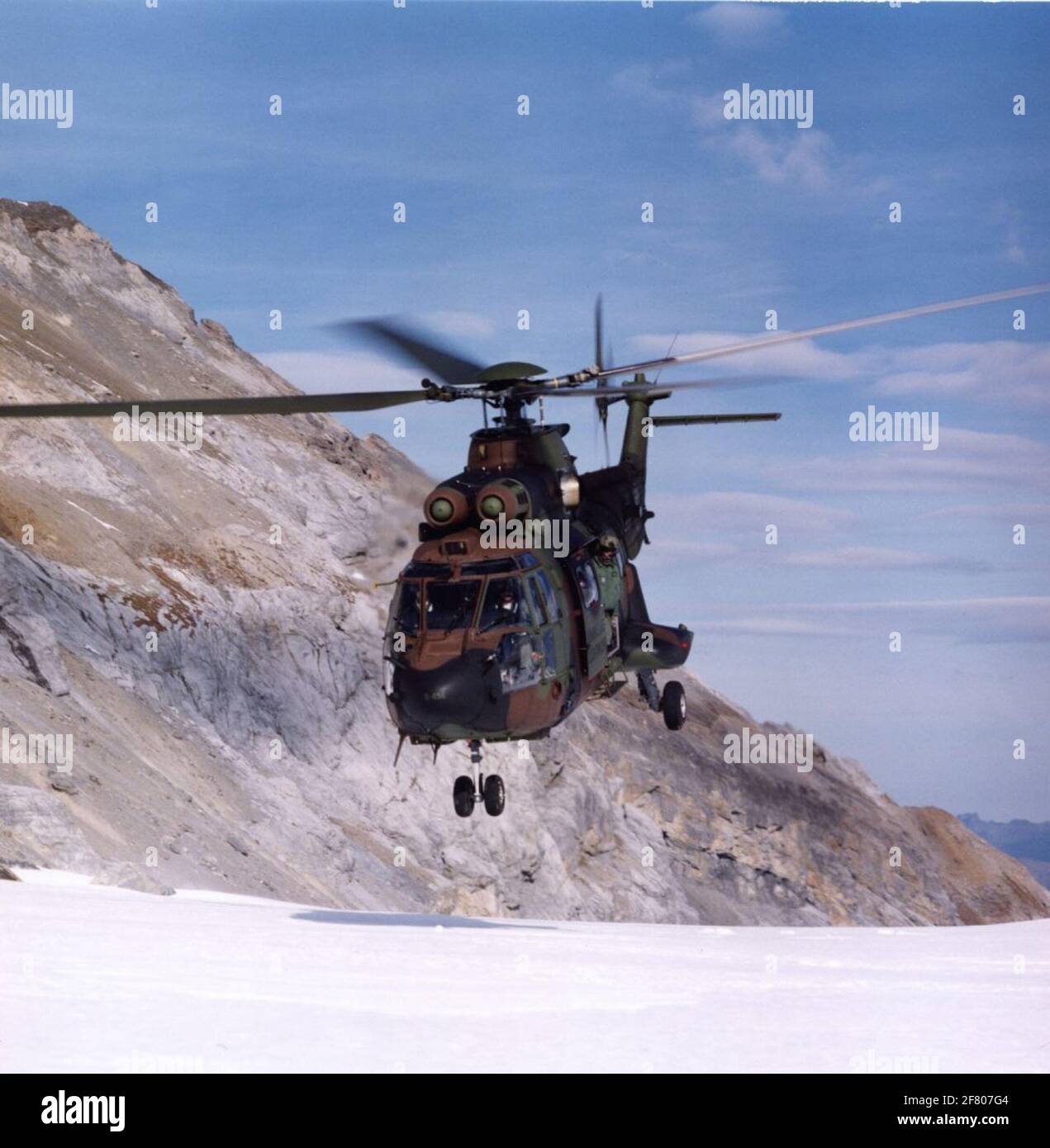 Ein Puma beim Training fliegt in der Schweiz. Stockfoto