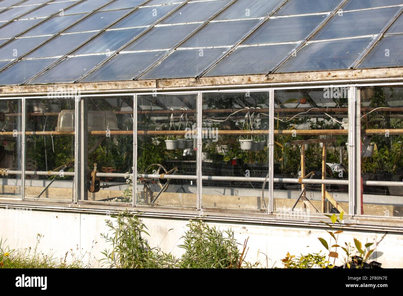 Grünes Haus aus Glas im Sommer mit einem angewinkelten Dach über Stockfoto