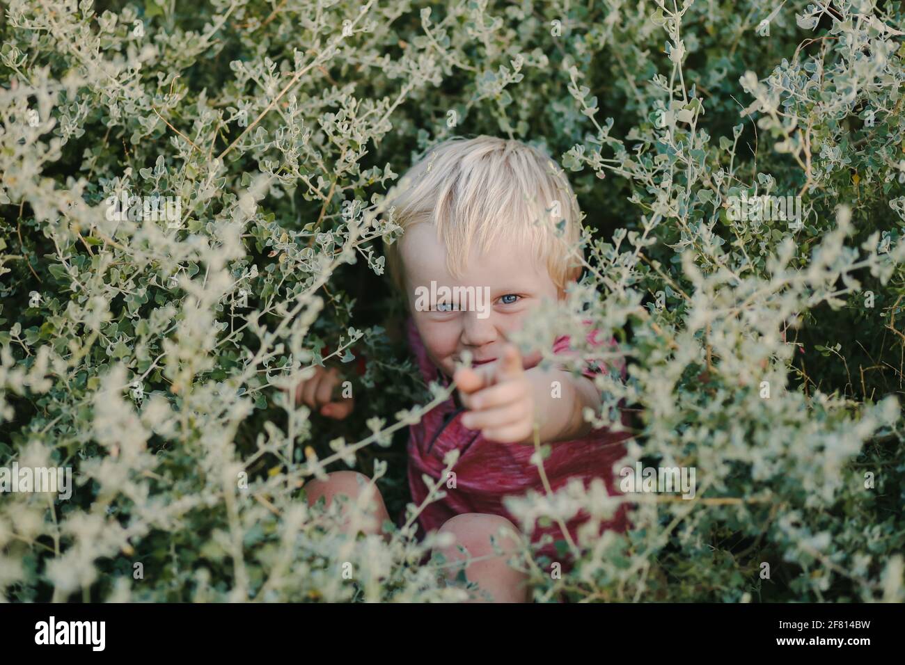 Nettes kleines blondes Kind, das in einem Busch in einem spielt parken Stockfoto