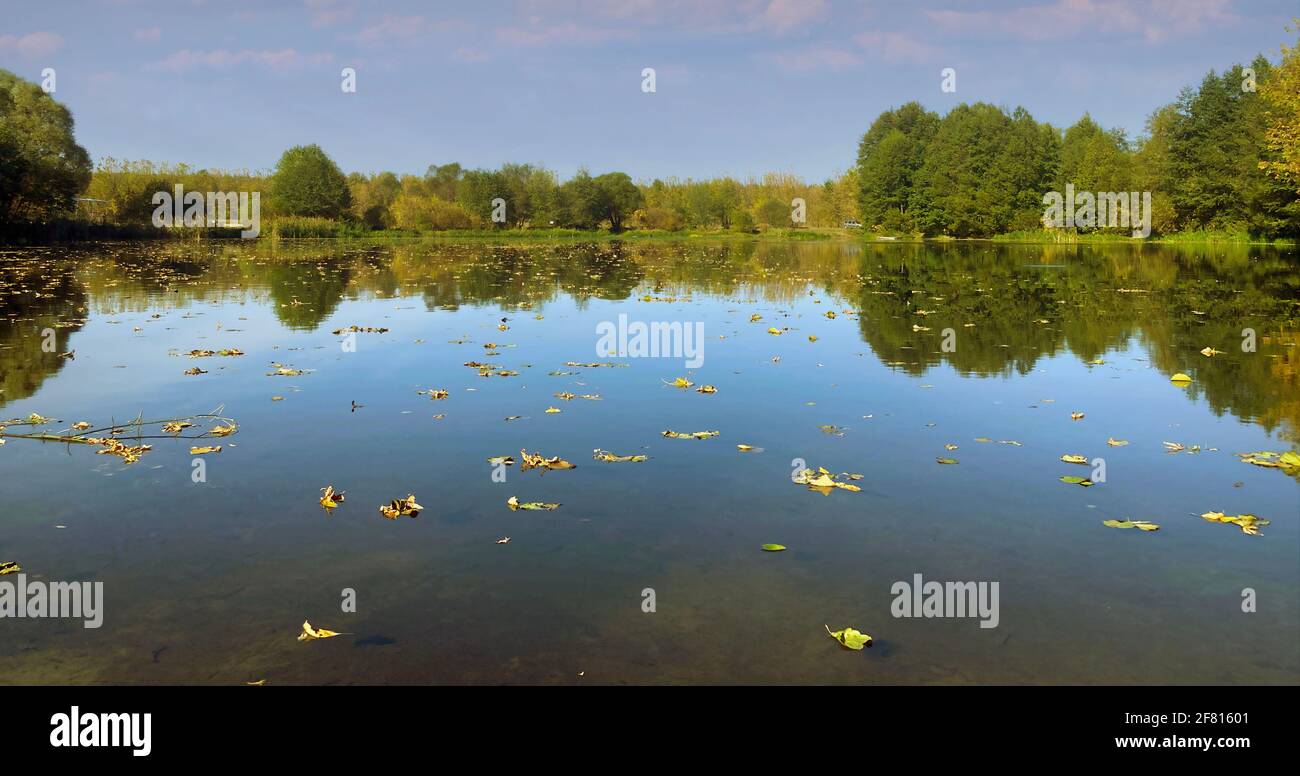 Ruhiger Teich in der Landschaft. Erstaunlicher See mit ruhigem Wasser in der Nähe von grünem Wald in der Natur. Stockfoto