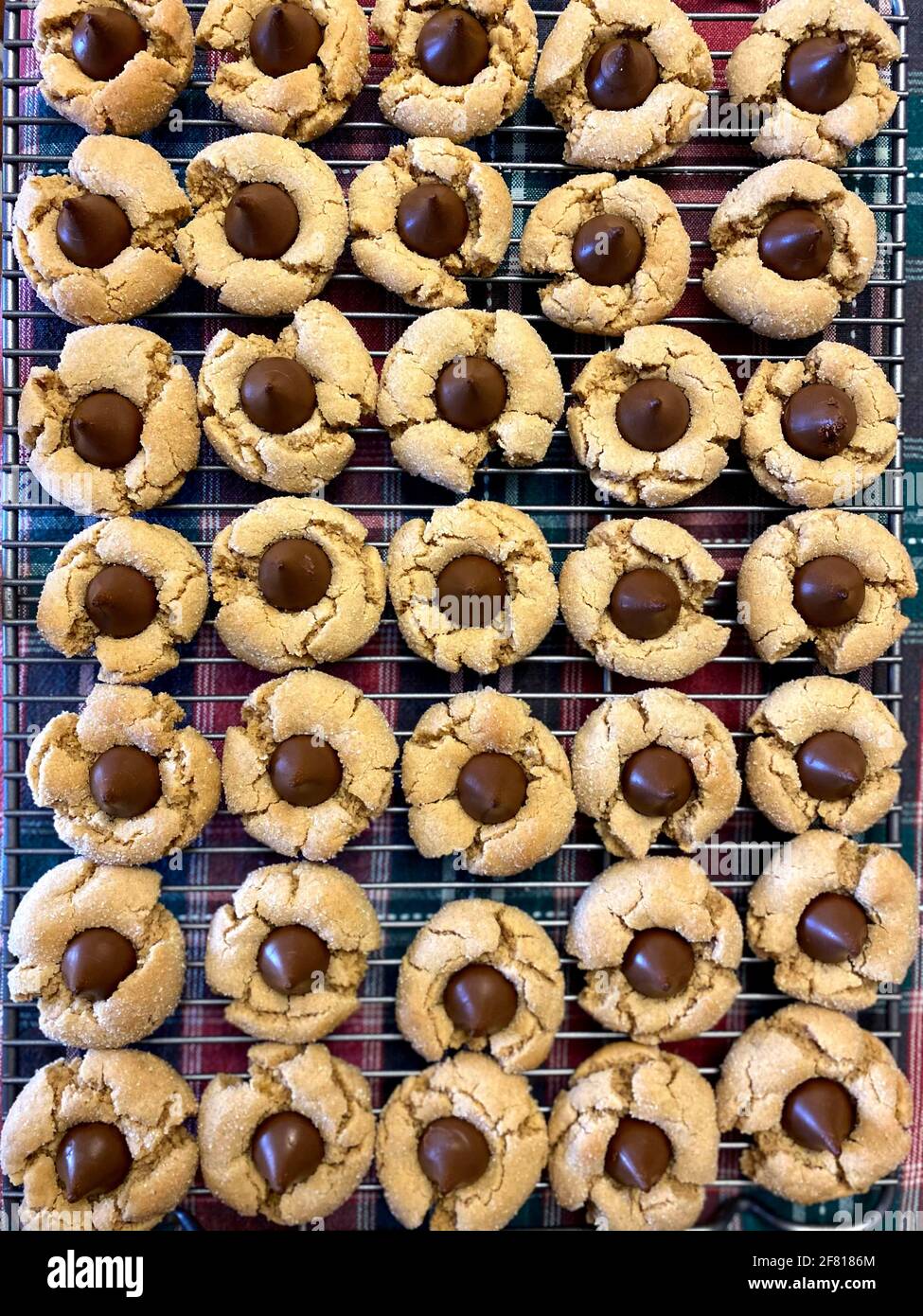 Eine Charge Erdnussblüten Kochen Kühlung auf einer Kühlung Rack Stockfoto