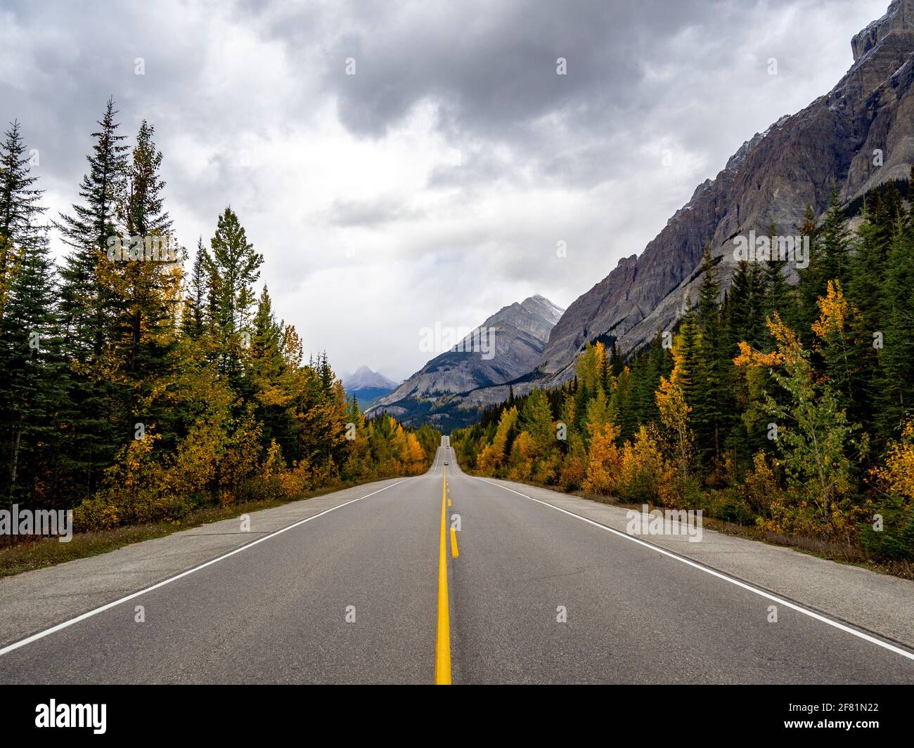 Gerade Straße in den rockies mit gelber Linie und Lärchen In der Nähe Stockfoto