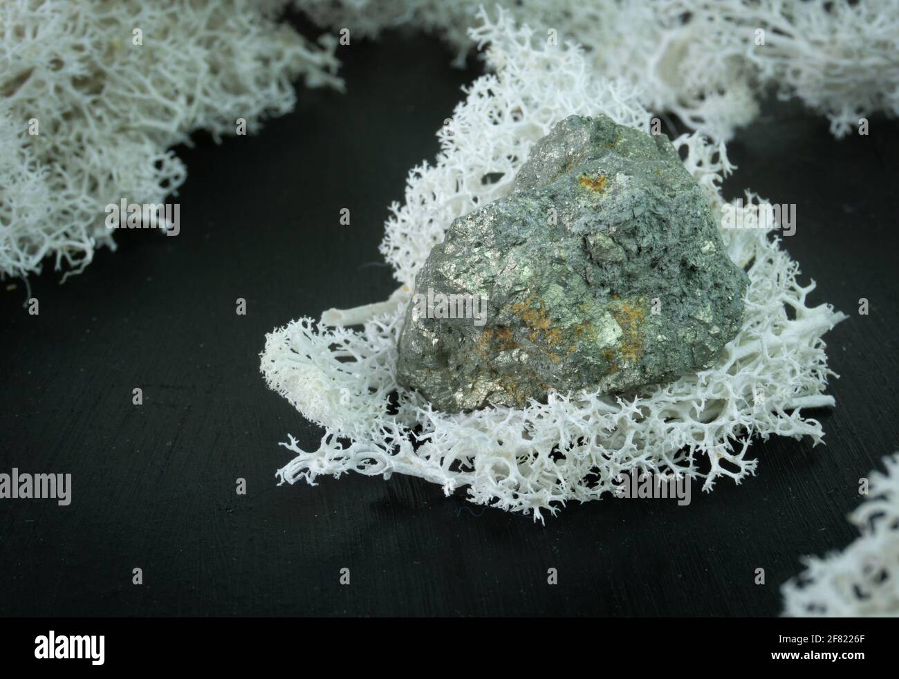 Arsenopyrit aus China oder Indonesien. Natürlicher Mineralstein auf schwarzem Hintergrund, umgeben von Moos. Mineralogie, Geologie, Magie, Halbedelsteine Stockfoto
