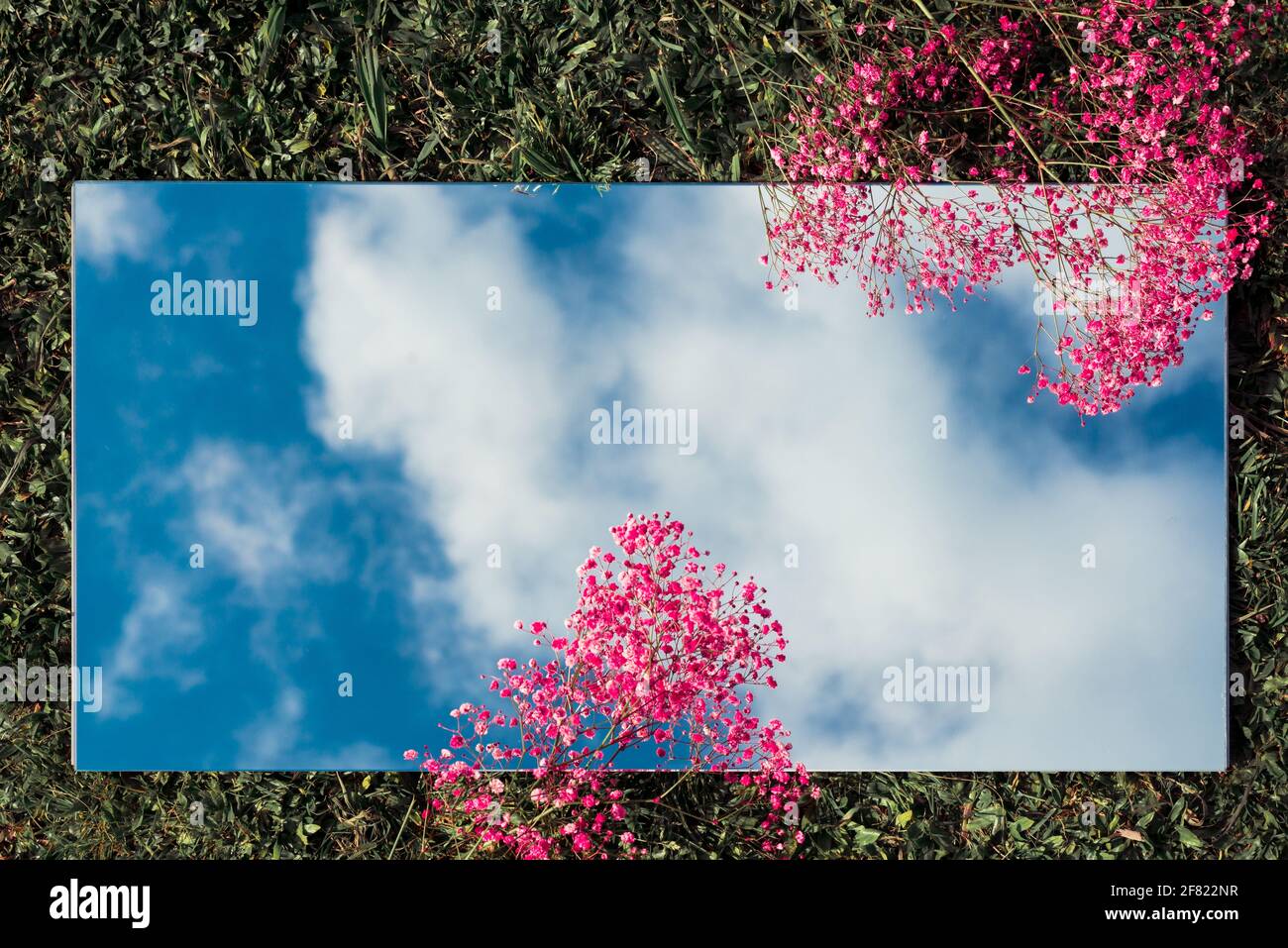 Erstaunlich flach lag mit dem Himmel auf einem Spiegel und Blumen Stockfoto
