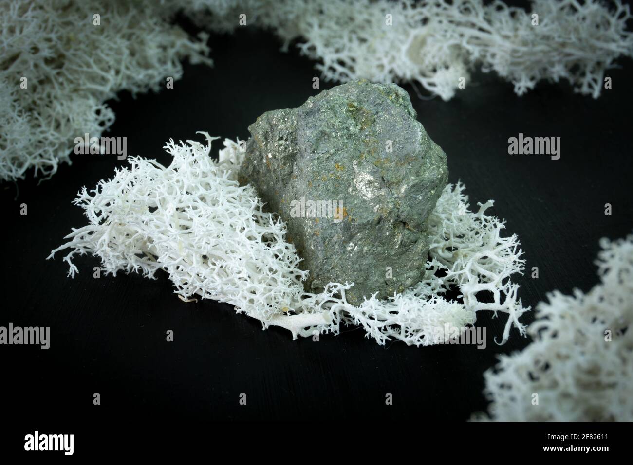 Arsenopyrit aus China oder Indonesien. Natürlicher Mineralstein auf schwarzem Hintergrund, umgeben von Moos. Mineralogie, Geologie, Magie, Halbedelsteine Stockfoto