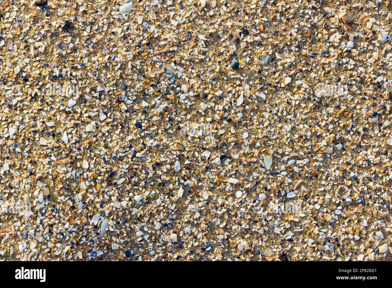 Detail von Sand- und Muschelfragmenten am Strand Stockfoto
