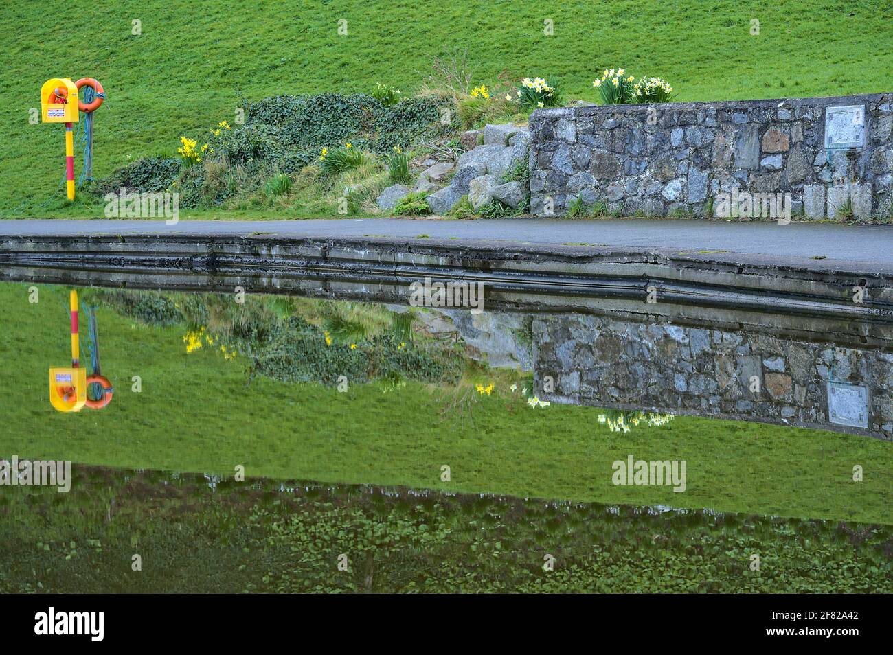 Wunderschöne Nahaufnahme von orangefarbenen Rettungsringen, Narzissenblumen und Rasen, die sich im Teichwasser im Blackrock Park, Dublin, Irland, spiegeln Stockfoto