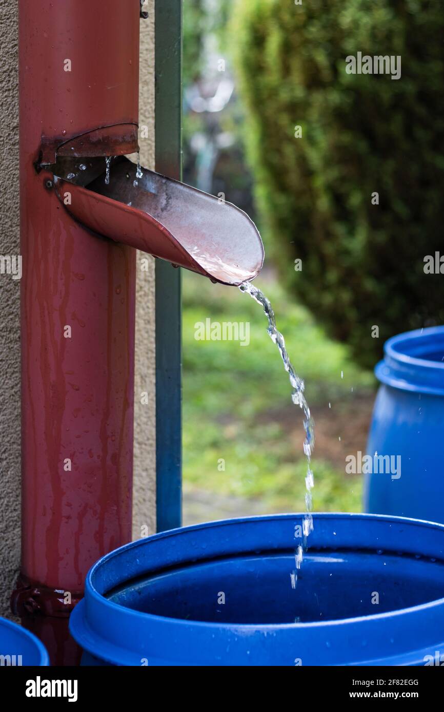 Regenwasser, das von der Dachrinne in das Fass im Garten fließt. Regentropfen in Bewegung verschwimmen. Aluminium rasiert im Regen. Nachhaltiger Lebensstil im Garten Stockfoto