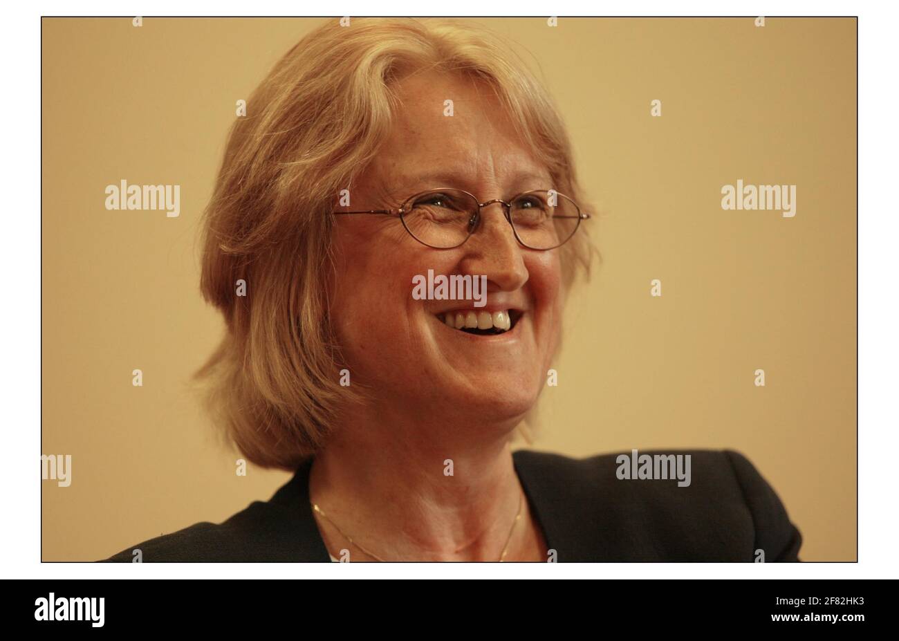 Dr. Ellie Johnson Searl, Direktorin, Joint Council for Qualifications, JCQ.pic David Sandison 11/8/2004 Stockfoto