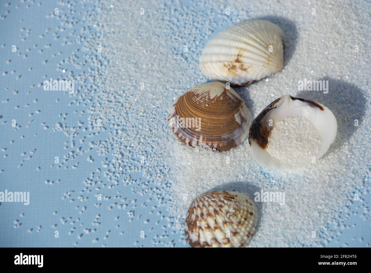 Draufsicht auf blauen Hintergrund mit Sand und Muscheln Studio Aufnahme Stockfoto
