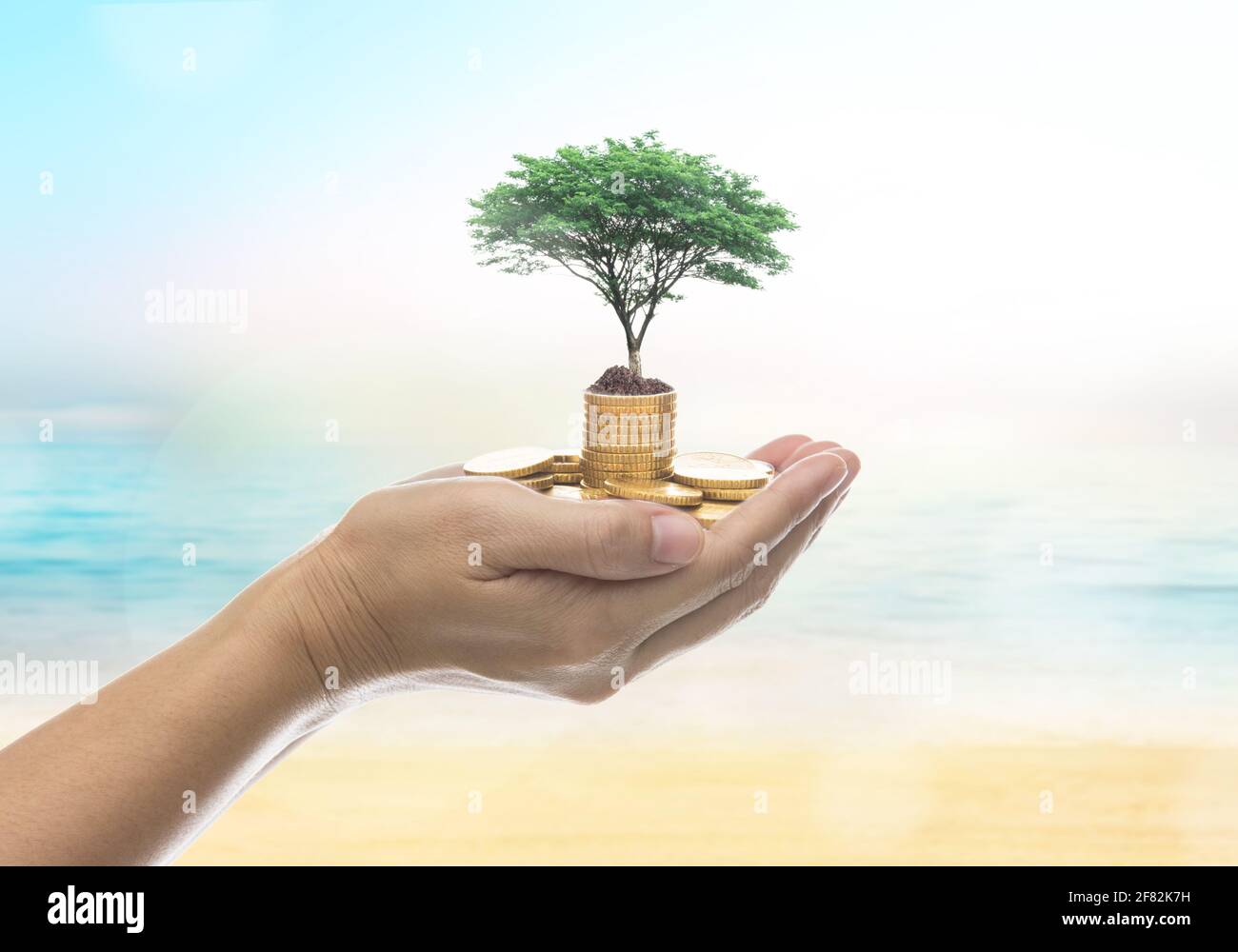 Menschliche Hand hält eine Goldmedaille und Baum mit dem Hintergrund verschwommen Himmel mit Licht und schönen Bokeh. Geschäftskonzept. Stockfoto