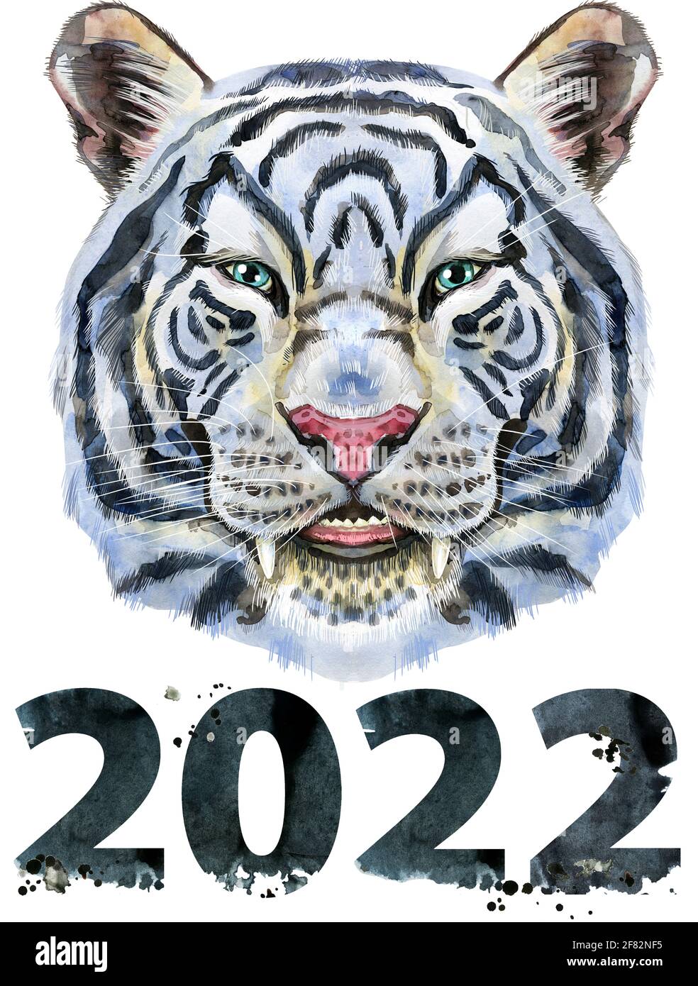 Aquarell-Illustration des weißen Tigers mit der Nummer zweitausend und Zweiundzwanzig Stockfoto