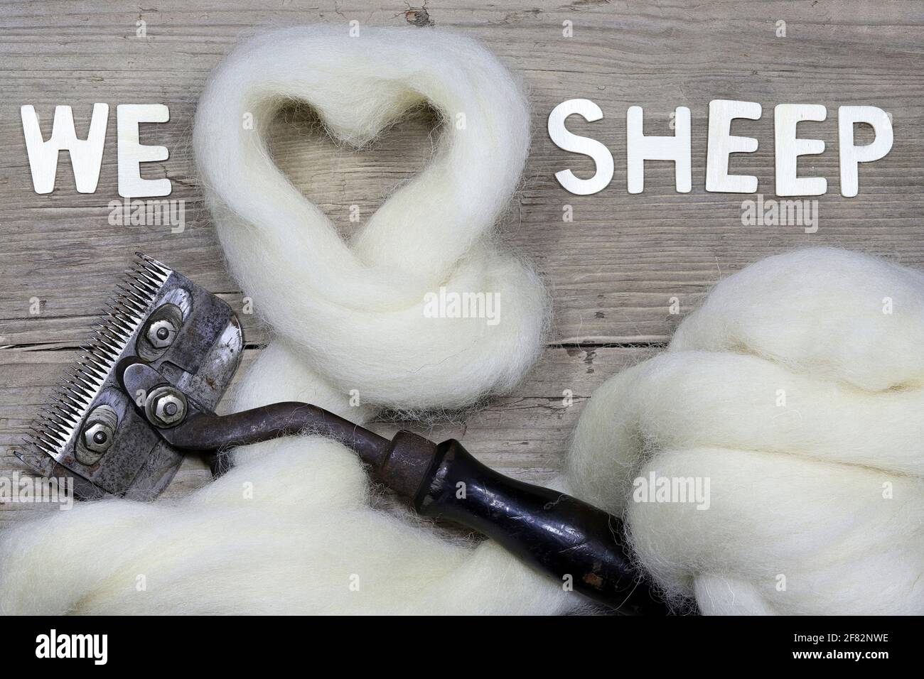 Rohwolle von der niederländischen Insel Texel bildet eine Herz auf Holzhintergrund mit Text ‘Wir lieben Schafe’ Stockfoto