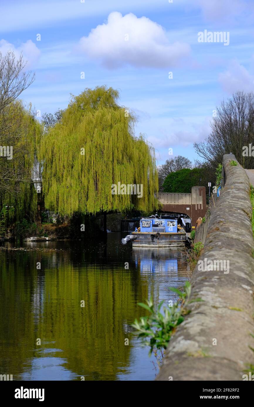 Rege't Canal by Victoria Park, Hackney, East London, London, Großbritannien Stockfoto