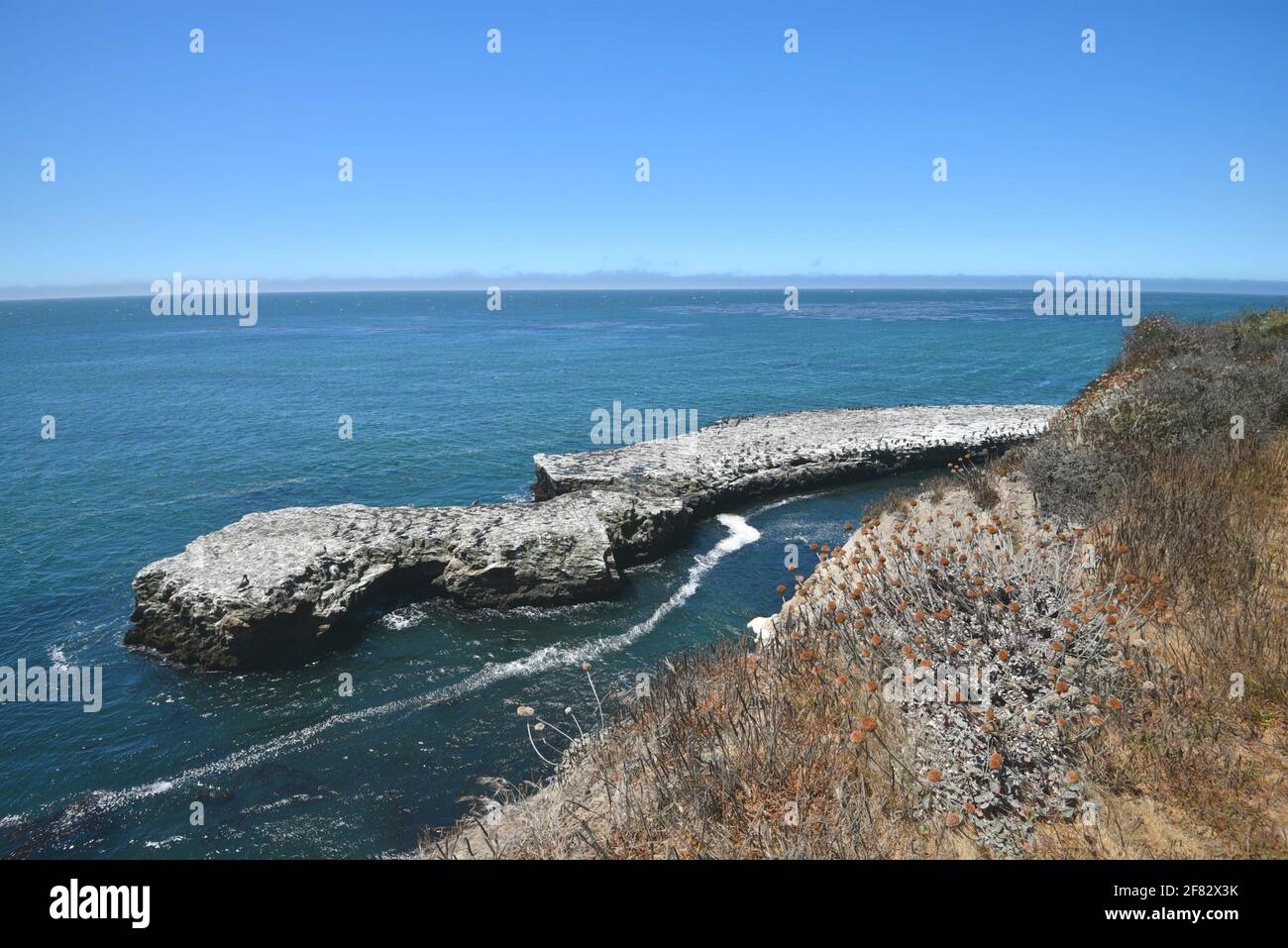 Seascape mit Panoramablick auf den Fern Grotto Cave Beach, ein Vogelbeobachtsplatz im Wilder Ranch State Park in Santa Cruz, Kalifornien, USA. Stockfoto