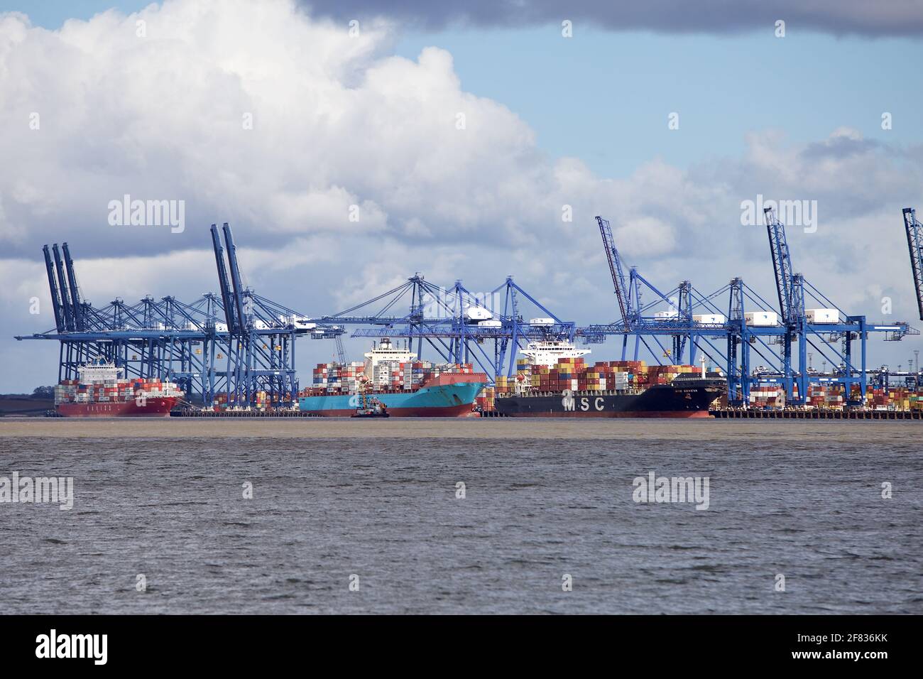 Die Containerschiffe MSC Geneva, Seago Piraeus und Navios Vermilion dockten im Hafen von Felixstowe, Suffolk, Großbritannien. Stockfoto
