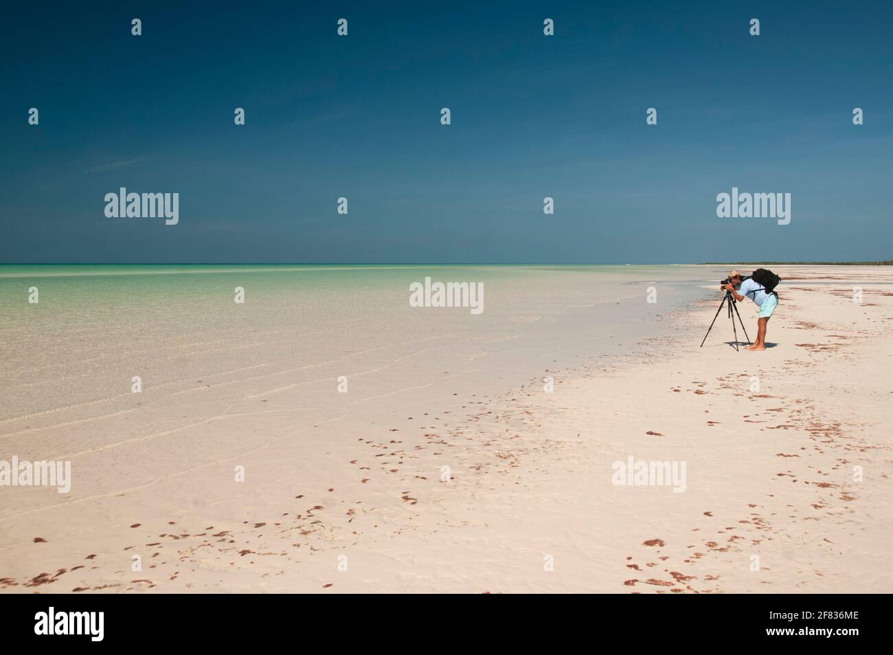 Ein junger Fotograf mit einem Fotostativ an einem einsamen tropischen Strand auf der Insel Holbox in Mexiko bei Ebbe. Im Hintergrund der wolkenlose Stockfoto