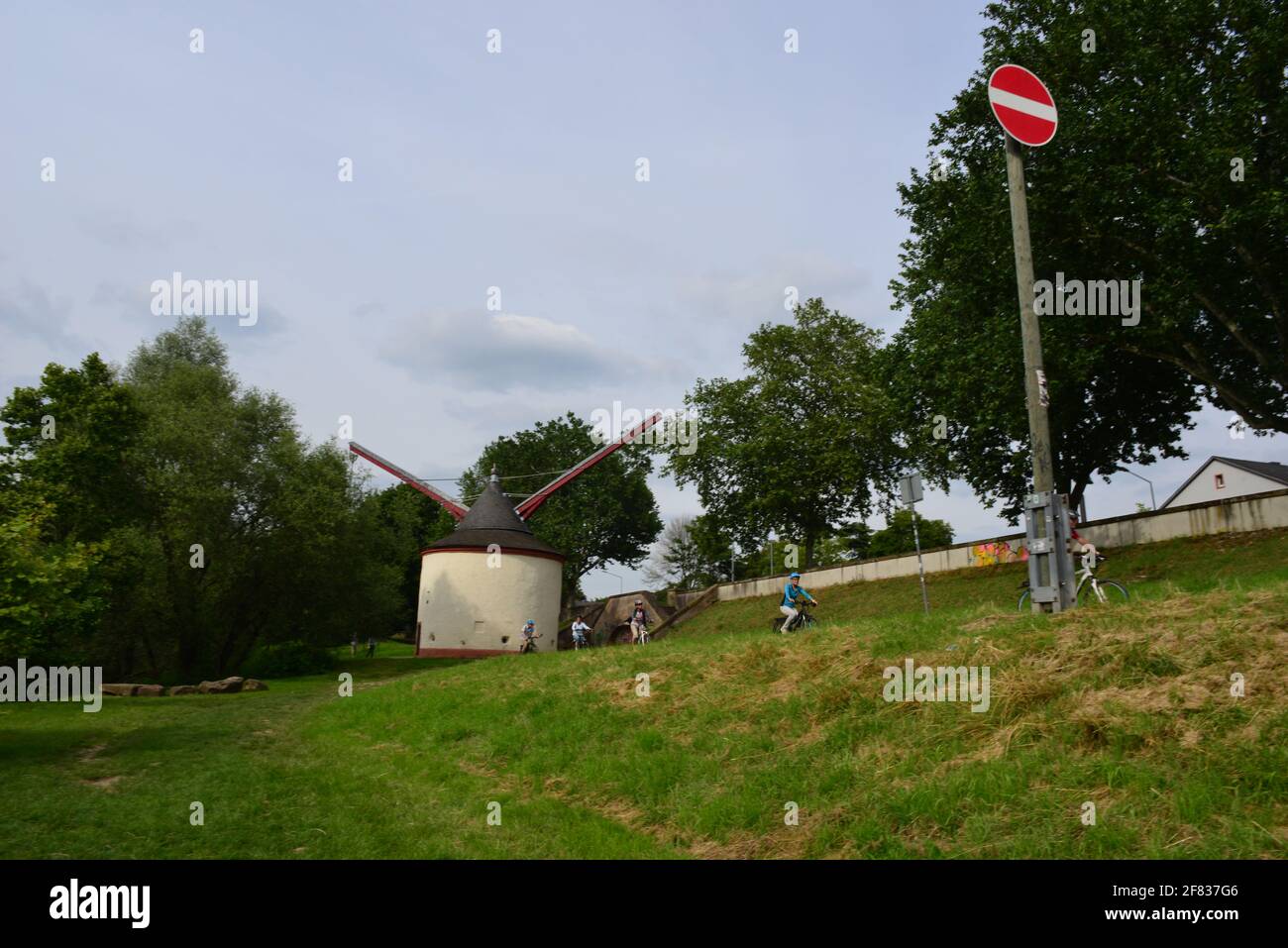 Uralter Kranich, am Ufer der Mosel, bei Trier, Deutschland Stockfoto