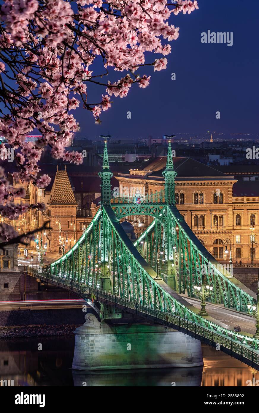 Budapest, Ungarn - beleuchtete Freiheitsbrücke über die Donau in der Abenddämmerung und Kirschblütenbaum im Vordergrund vom Gellert-Hügel. Feder hat Arr Stockfoto