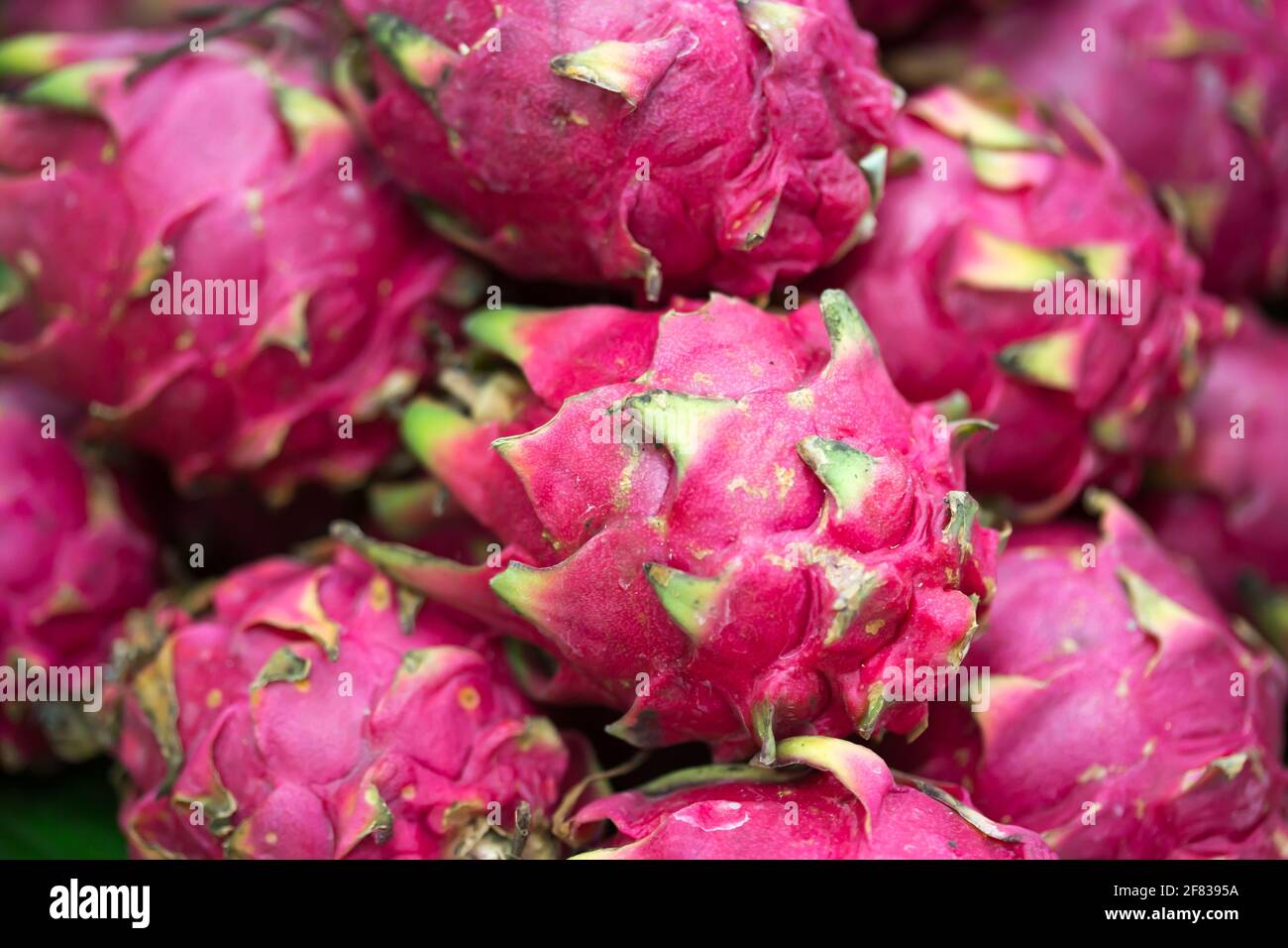 Drachenfrüchte auf dem Markt Stände Stockfoto