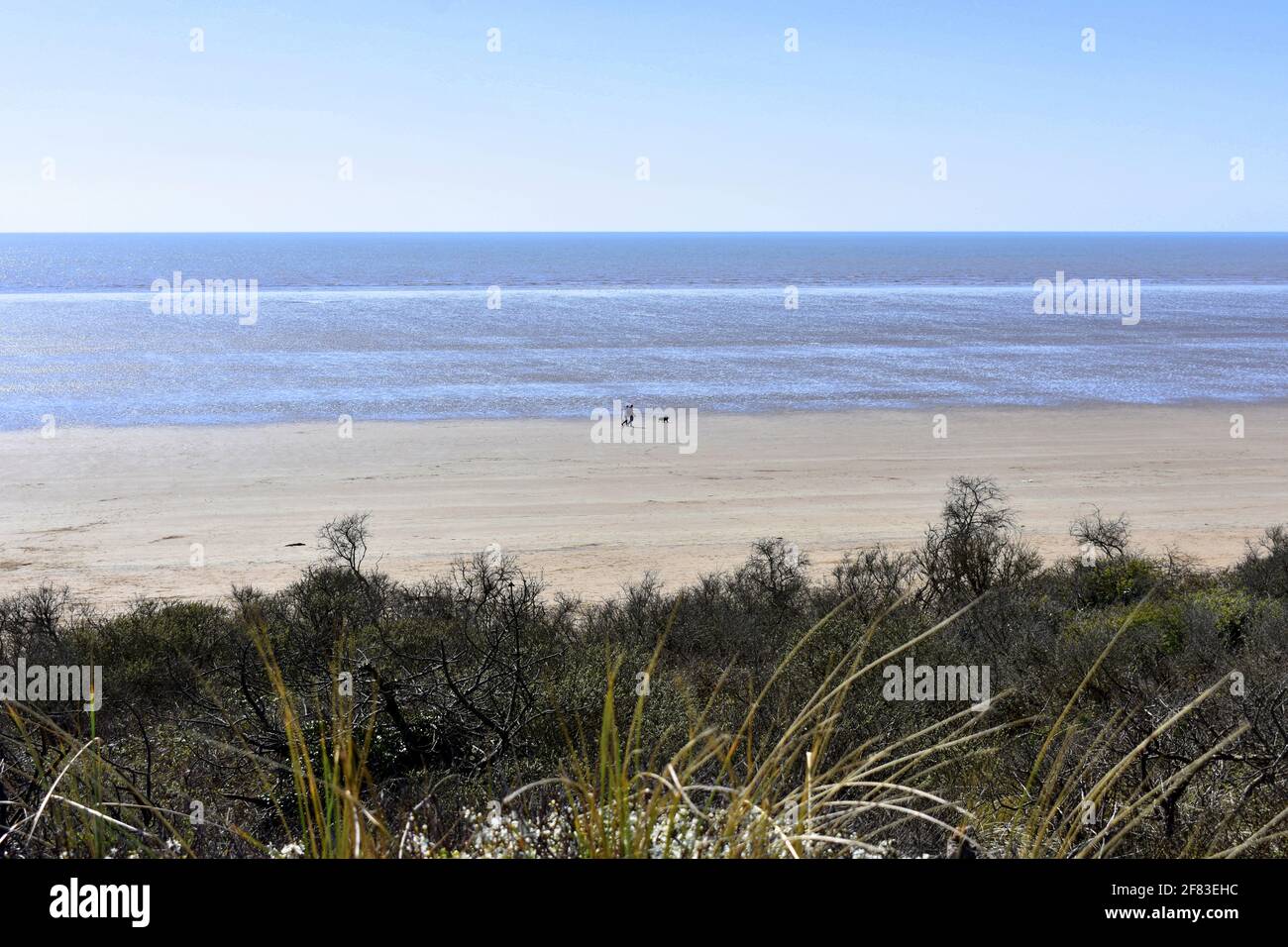 Cefin Sidan Sands, Pembrey Country Park, Pembrey, Burry Port, Carmarthenshire, Wales Stockfoto