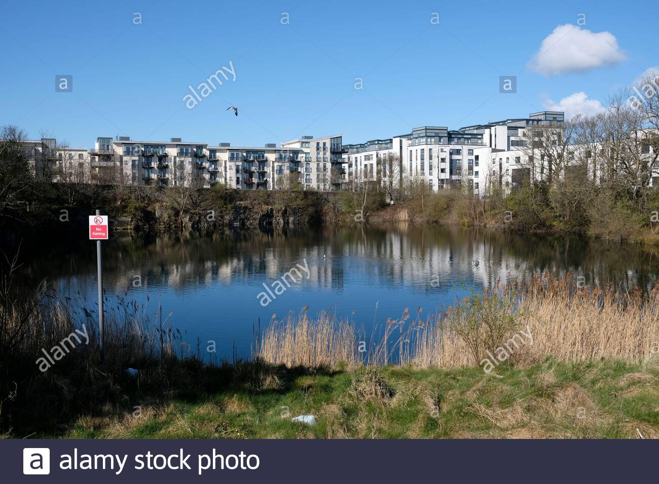 Moderne Wohnimmobilienentwicklung im Forthquarter Park, Granton, Edinburgh, Schottland Stockfoto