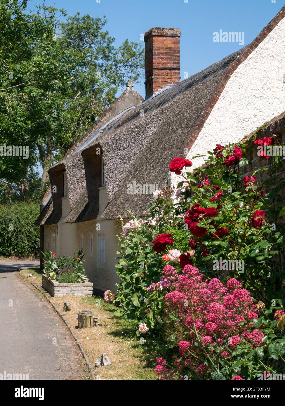 Landhaus mit Reetgedeckten Pflanzen im Sommergarten, im Weiler St. James, Coltishall, Norfolk, England, Großbritannien Stockfoto