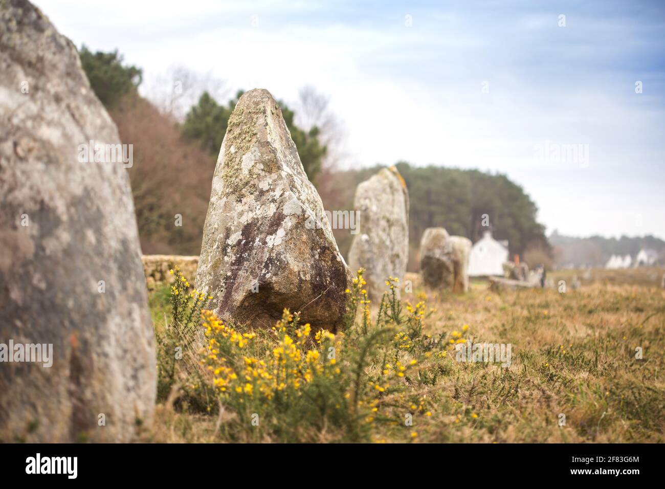 Angleichung von Manio (Carnac, Frankreich) - eine archäologische Stätte aus der Jungsteinzeit Stockfoto