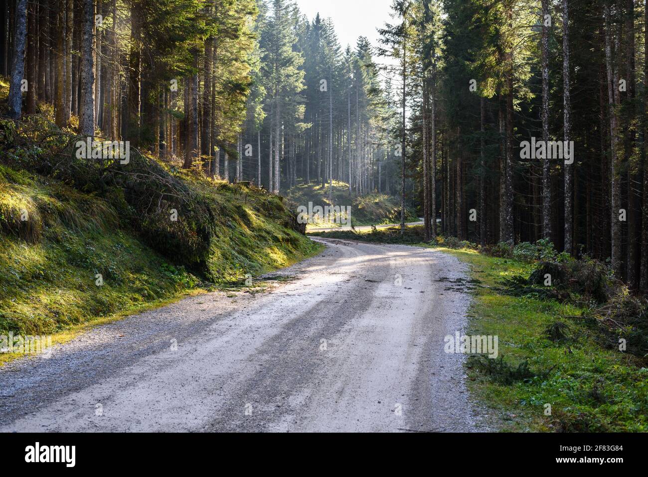 Verlassene, kurvenreiche unbefestigte Forststraße in den Europäischen Alpen an einem sonnigen Herbsttag. Comcept of Exploration. Stockfoto