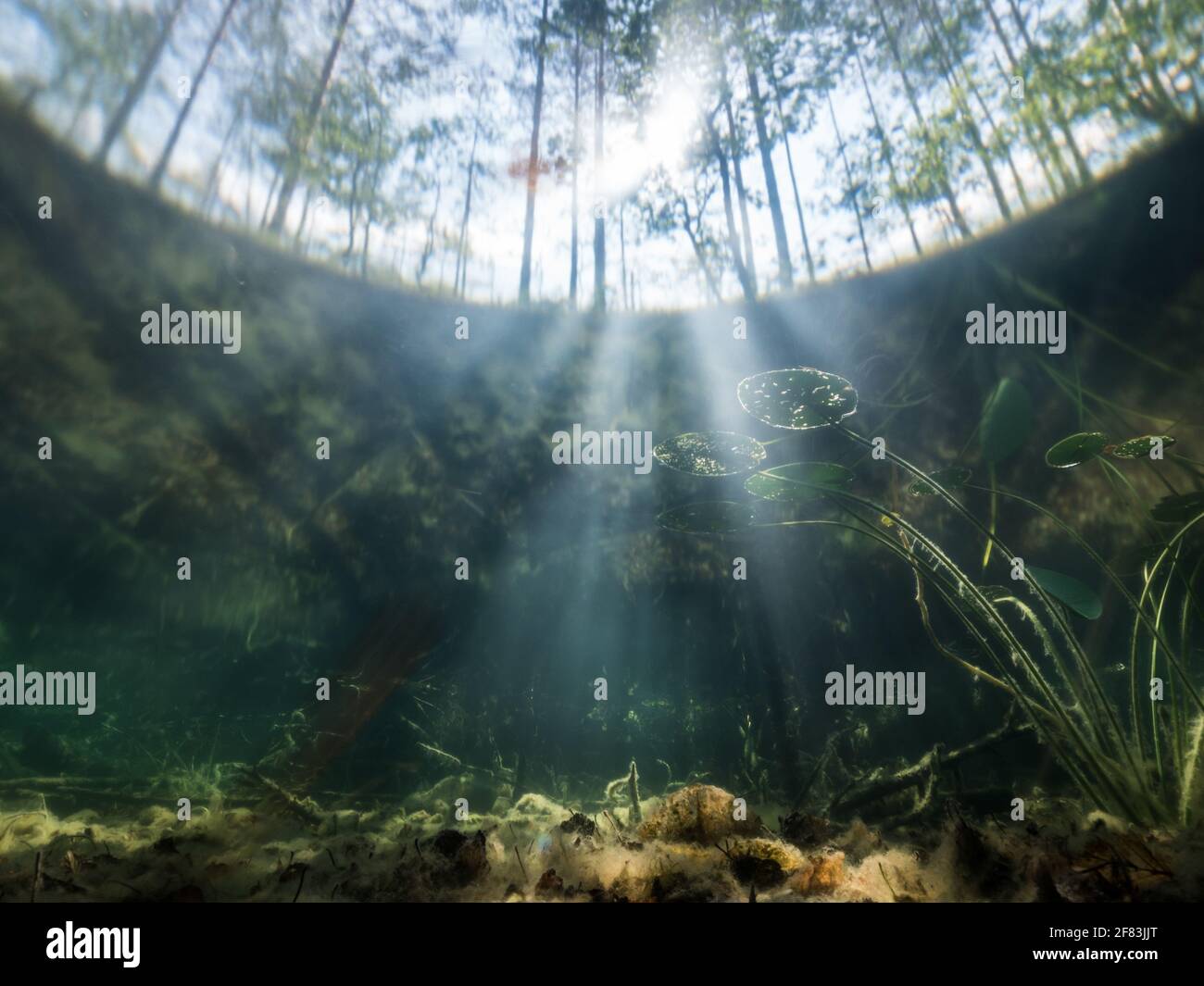 Langzeitbelichtung unter Wasser Blick auf Lichtstrahlen am Seeufer Stockfoto
