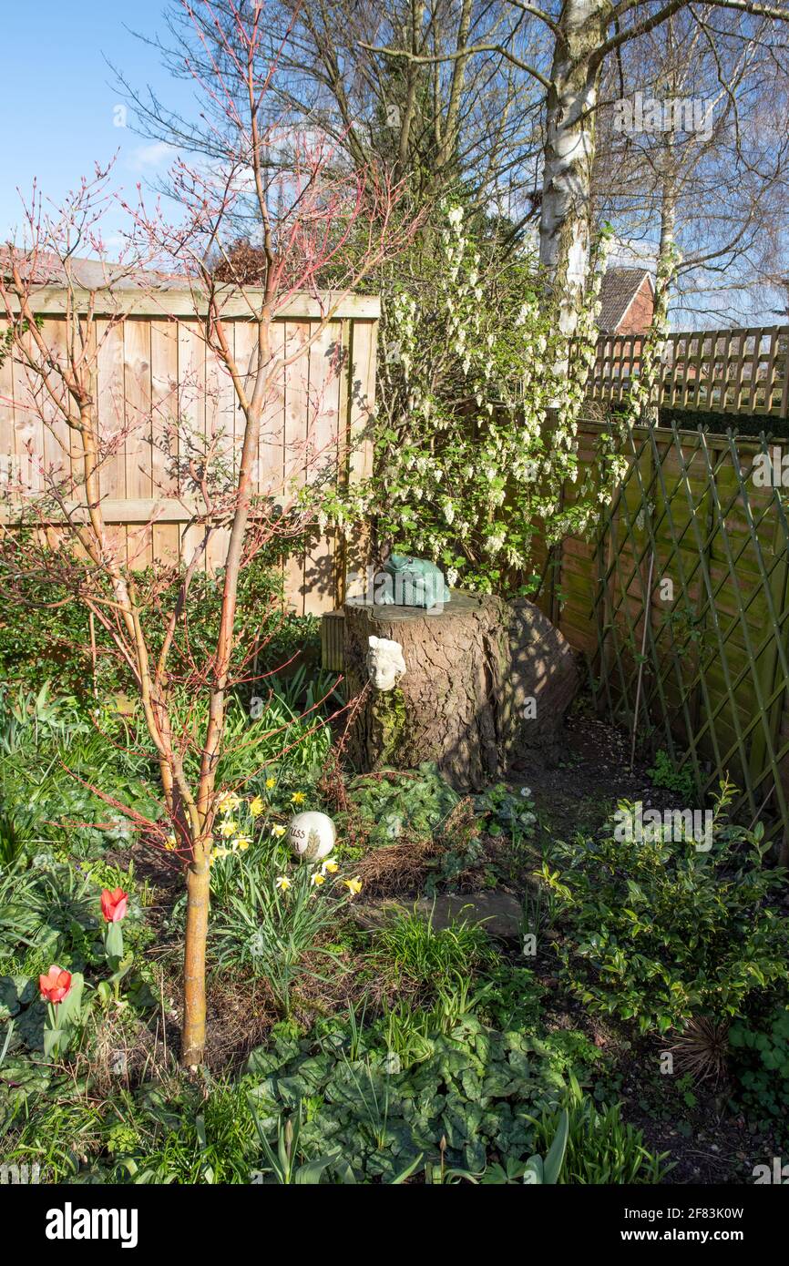 Frühling im Garten. Stockfoto